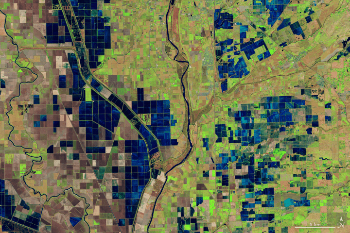 2018 年12月26日使用Landsat8上的OLI（可操作陆地成像仪）获取，显示了萨克拉门托河和羽毛河沿岸被洪水淹没的稻田（被淹没的田地呈深蓝色;植被是鲜绿色的）