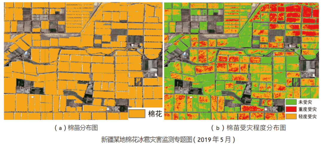 新疆某地棉花冰雹灾害监测专题图（2019年5月）