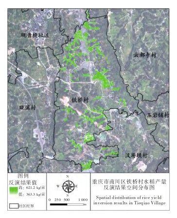 铁桥村水稻产量反演结果空间分布图